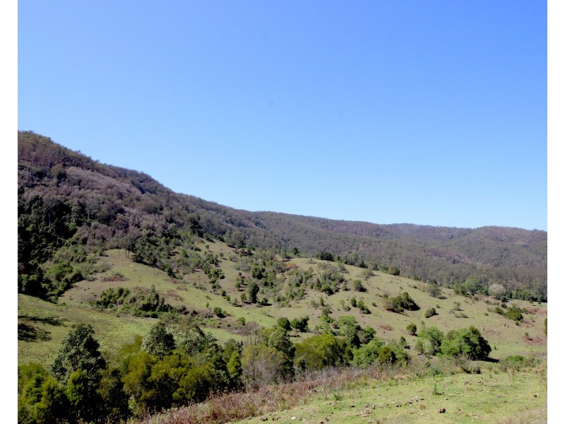 154 Inlet Road, Birdwood NSW 2446