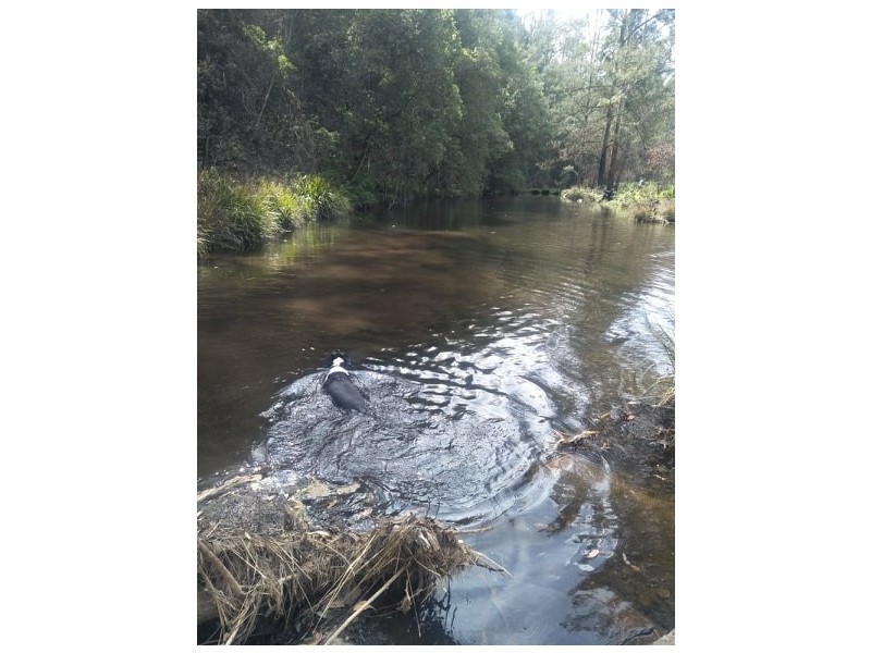 220 Berekovens Rd, Upper Pappinbarra NSW 2446