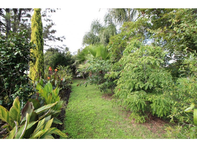 41 Kendall Rd, Kendall NSW 2439