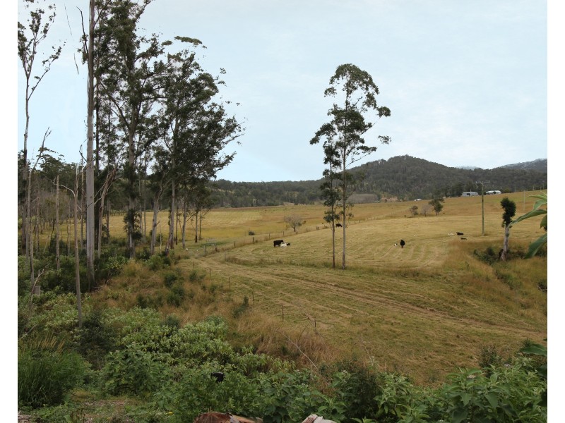 11 Roach Rd, Lower Pappinbarra NSW 2446