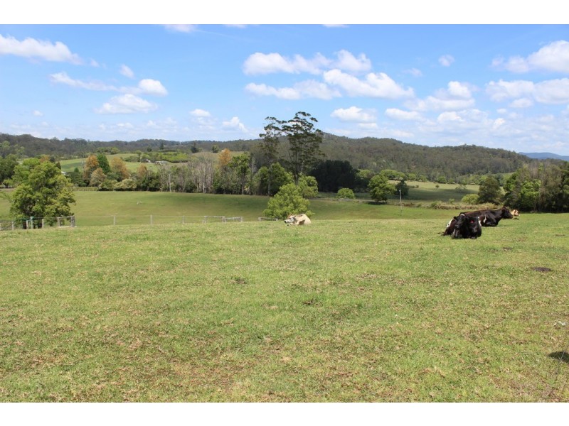 990 Stewarts River Road, Lorne NSW 2439