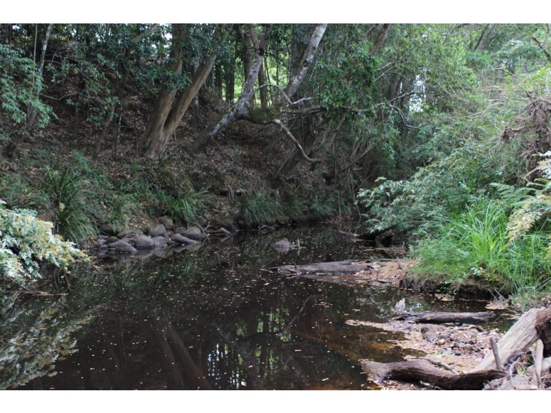 990 Stewarts River Road, Lorne NSW 2439