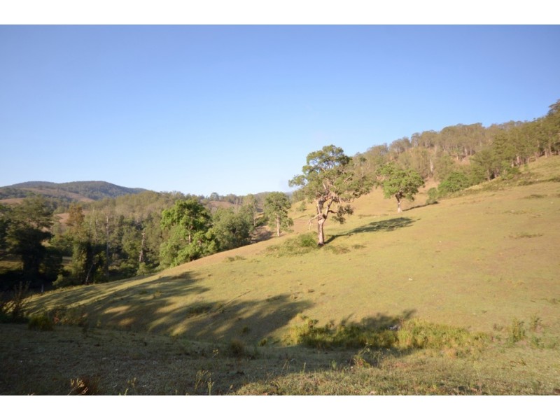 ” Rowleys River ” Cells River Rd, Yarrowitch NSW 2354