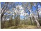 ” Rowleys River ” Cells River Rd, Yarrowitch NSW 2354