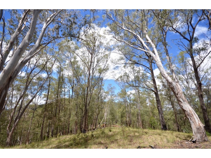 ” Rowleys River ” Cells River Rd, Yarrowitch NSW 2354