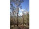 ” Rowleys River ” Cells River Rd, Yarrowitch NSW 2354