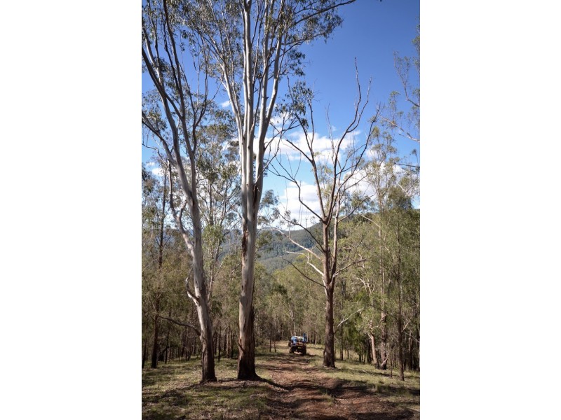 ” Rowleys River ” Cells River Rd, Yarrowitch NSW 2354