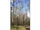 ” Rowleys River ” Cells River Rd, Yarrowitch NSW 2354