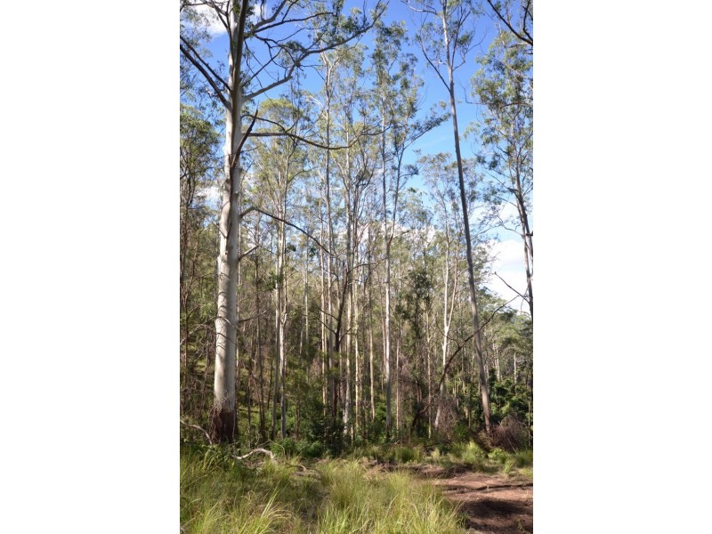 ” Rowleys River ” Cells River Rd, Yarrowitch NSW 2354