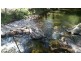 ” Rowleys River ” Cells River Rd, Yarrowitch NSW 2354