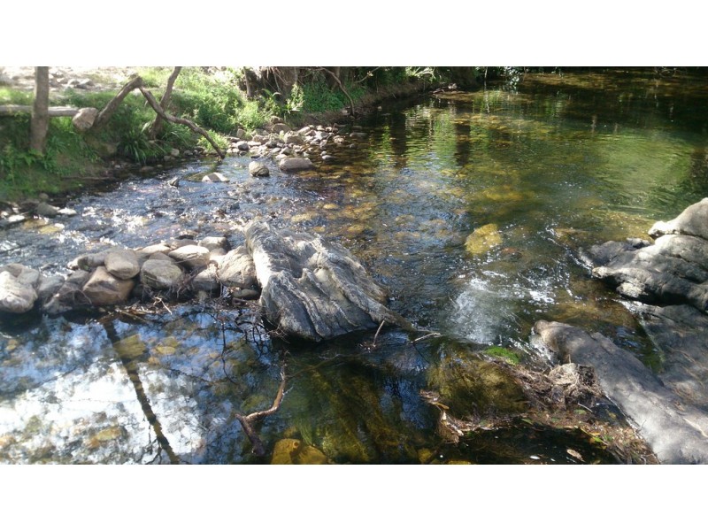 ” Rowleys River ” Cells River Rd, Yarrowitch NSW 2354