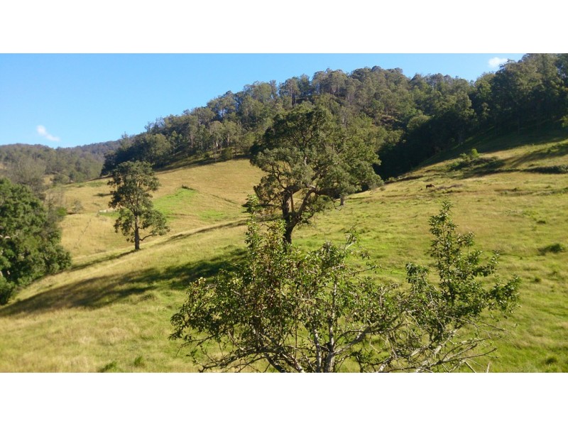 ” Rowleys River ” Cells River Rd, Yarrowitch NSW 2354