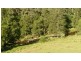 ” Rowleys River ” Cells River Rd, Yarrowitch NSW 2354