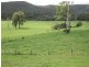 Pipeclay NSW 2446