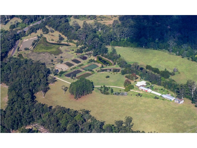 210 Rodeo Drive, Kundabung NSW 2441