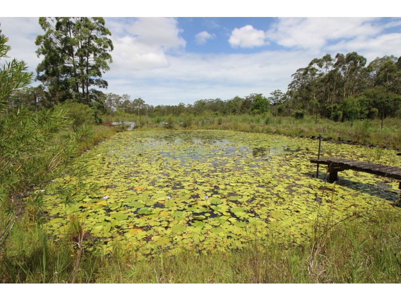 210 Rodeo Drive, Kundabung NSW 2441