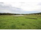 2476 Wallanbah Road, Firefly NSW 2429
