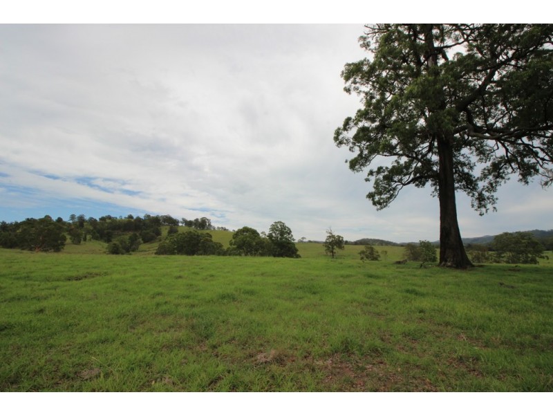 2476 Wallanbah Road, Firefly NSW 2429