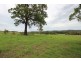 2476 Wallanbah Road, Firefly NSW 2429