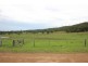 2476 Wallanbah Road, Firefly NSW 2429