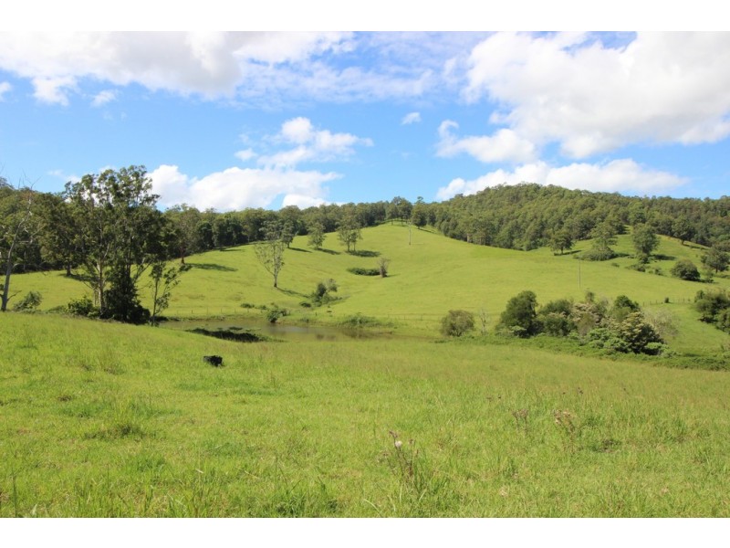 Lot 1 / 991 Pappinbarra Road, Pappinbarra NSW 2446