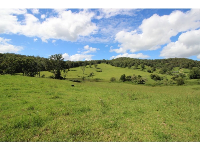 Lot 1 / 991 Pappinbarra Road, Pappinbarra NSW 2446