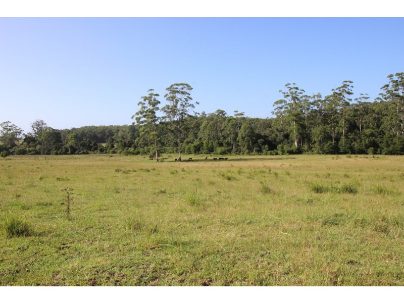 240 Brookhouse Road, Pembrooke NSW 2446
