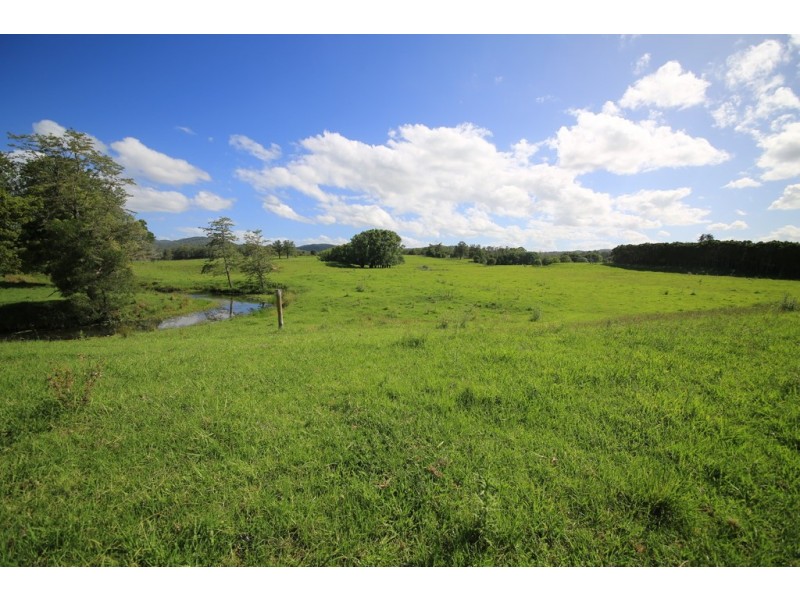 253 Brill Brill Road, Rollands Plains NSW 2441