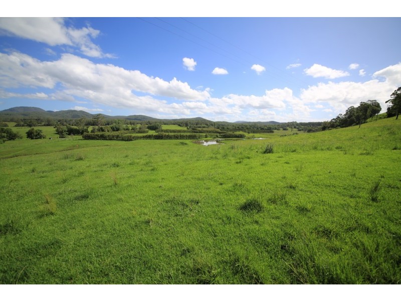 253 Brill Brill Road, Rollands Plains NSW 2441