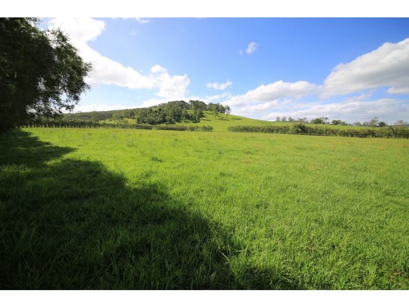 253 Brill Brill Road, Rollands Plains NSW 2441