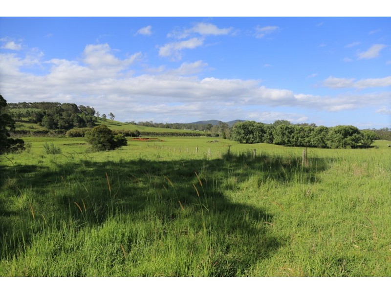 253 Brill Brill Road, Rollands Plains NSW 2441