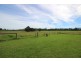 2731 Wallanbah Road, Firefly NSW 2429