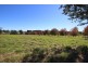 136 South West Rocks Road, Kempsey NSW 2440