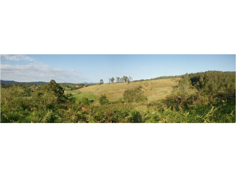 Lot 21 / 893 Lower Buckra Bendinni Road, Buckra Bendinni NSW 2449