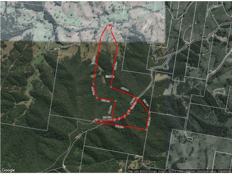 Lot 21 / 893 Lower Buckra Bendinni Road, Buckra Bendinni NSW 2449