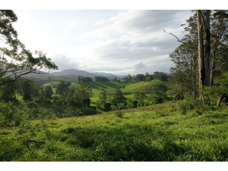 Lot 21 / 893. Lower Buckra Bendinni Road, Buckra Bendinni NSW 2449