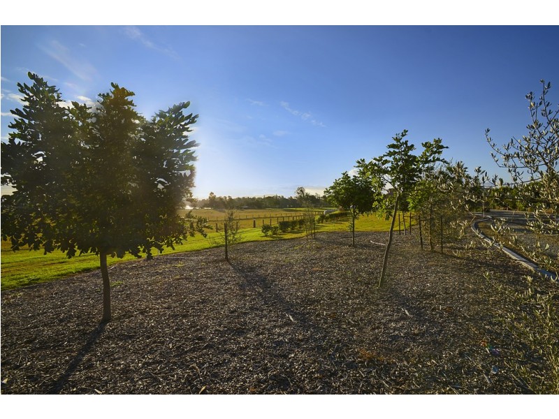 435. Rawdon Island Rd, Rawdon Island NSW 2446