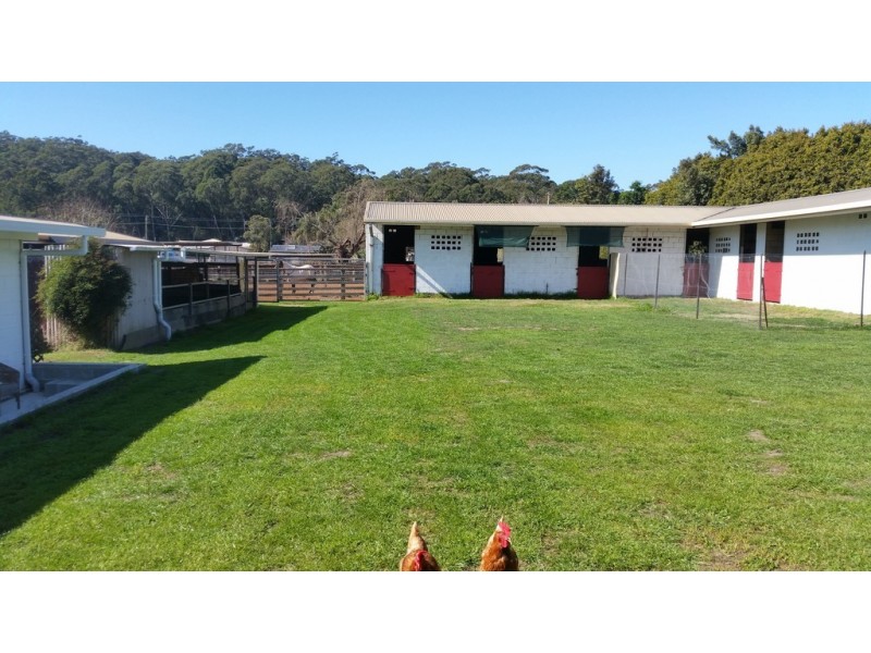 10 Racewyn Close, Port Macquarie NSW 2444