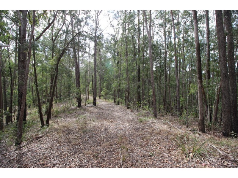 Lots 21 28 29 Dennis Road, Mungay Creek NSW 2440