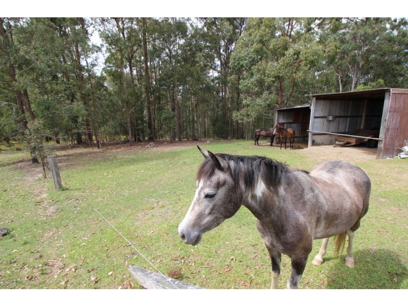 317 Smiths Creek Rd, Kundabung NSW 2441