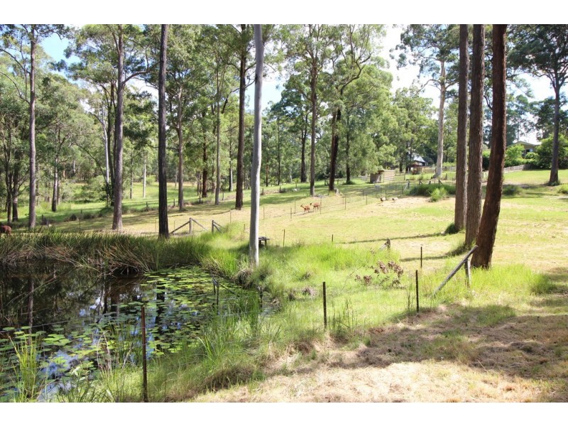 105 Quarry Rd, Rosewood NSW 2446