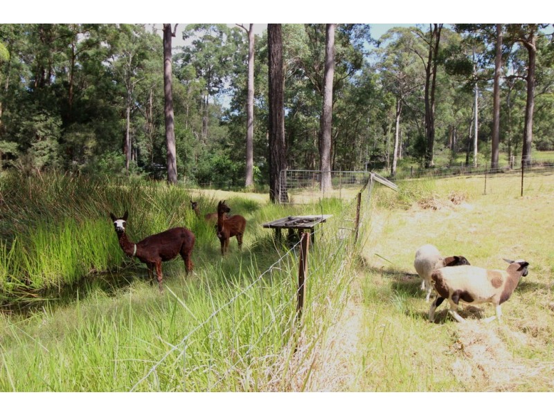 105 Quarry Rd, Rosewood NSW 2446