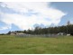 1141 Maria River Road, Limeburners Creek NSW 2444