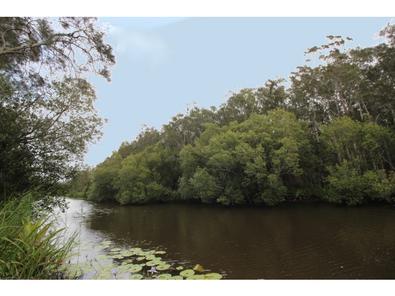 1141 Maria River Road, Limeburners Creek NSW 2444