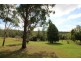 74 Littles Loop Road, Upper Rollands Plains NSW 2441