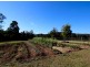 438 Upper Rollands Plains Rd, Rollands Plains NSW 2441