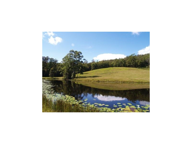 982 Mungay Creek Road, Mungay Creek NSW 2440