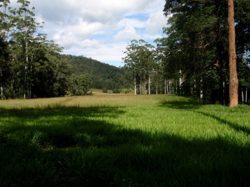 982 Mungay Creek Road, Mungay Creek NSW 2440