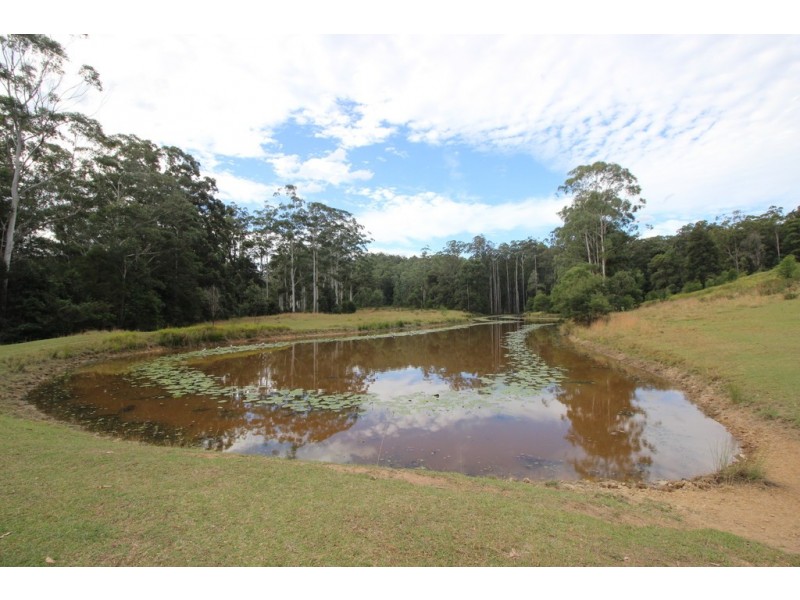 982 Mungay Creek Road, Mungay Creek NSW 2440