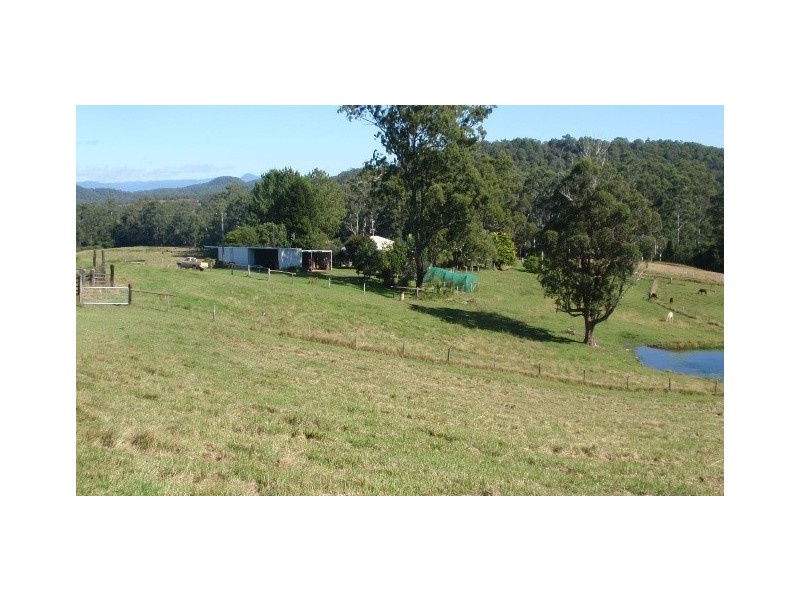 982 Mungay Creek Road, Mungay Creek NSW 2440